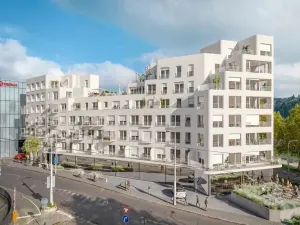 Prodej bytu 1+kk, Ostrava - Moravská Ostrava, Biskupská, 33 m2