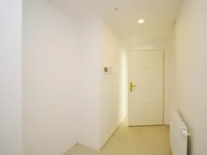 Pronájem bytu 3+1, Praha - Vinohrady, Mánesova, 120 m2