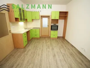 Pronájem bytu 2+kk, Plzeň, Úslavská, 38 m2