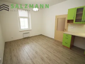 Pronájem bytu 2+kk, Plzeň, Úslavská, 38 m2