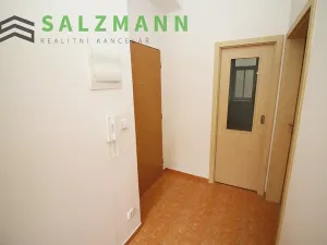 Pronájem bytu 2+kk, Plzeň, Úslavská, 38 m2