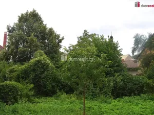 Prodej zahrady, Dobrovice, 636 m2