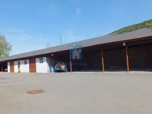 Prodej komerční nemovitosti, Strážný - Řasnice, 39598 m2