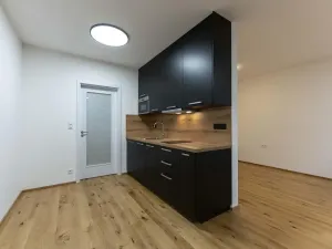 Pronájem bytu 1+kk, Praha - Nusle, Muzikova, 50 m2