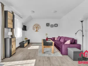 Prodej bytu 2+kk, Červená Voda - Mlýnický Dvůr, 45 m2