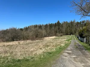 Prodej chaty, Jílové u Prahy, K Lesu, 40 m2