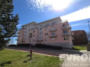 Pronájem bytu 1+kk, Pardubice - Studánka, Pod Studánkou, 32 m2