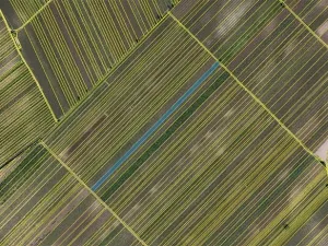 Prodej pole, Velké Bílovice, 3706 m2