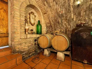 Prodej komerční, Velké Bílovice, 508 m2