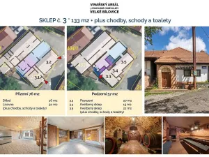 Prodej komerční, Velké Bílovice, 508 m2