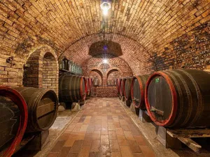 Prodej komerční, Velké Bílovice, 508 m2