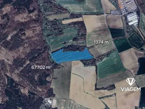 Prodej podílu lesa, Ptení, 4605 m2