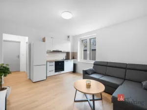 Prodej bytu 2+kk, Ostrava - Mariánské Hory, Cottonové, 37 m2