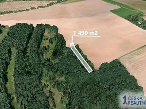 Prodej lesa, Blížejov, 1490 m2