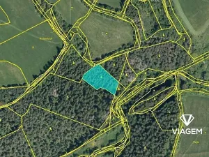 Prodej podílu lesa, Bošice, 1711 m2