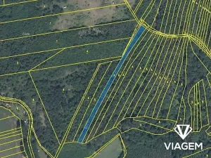 Prodej podílu lesa, Rybníky, 2317 m2