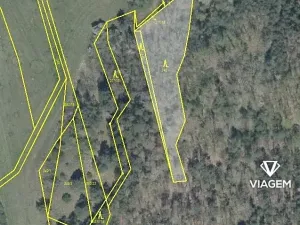 Prodej podílu lesa, Nový Hrozenkov, 220 m2