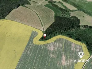 Prodej podílu lesa, Radošovice, 683 m2