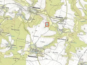 Prodej podílu lesa, Radošovice, 2390 m2