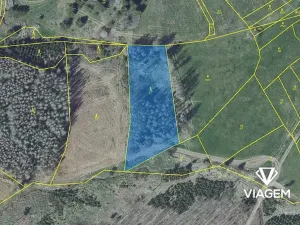 Prodej podílu lesa, Radošovice, 1094 m2