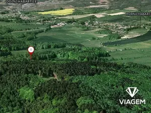 Prodej podílu lesa, Horní Habartice, 2358 m2