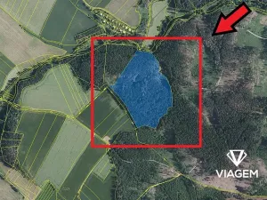 Prodej podílu lesa, Katov, 3762 m2