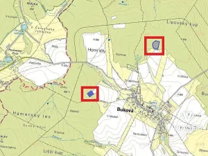 Prodej podílu lesa, Buková, 821 m2