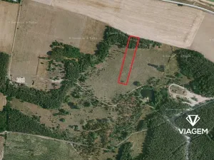 Prodej podílu lesa, Travčice, 1044 m2