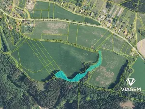 Prodej podílu lesa, Syřenov, 4299 m2