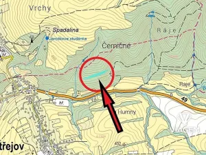 Prodej lesa, Bratřejov, 4091 m2