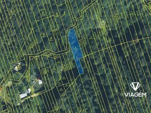 Prodej podílu lesa, Kněždub, 3060 m2