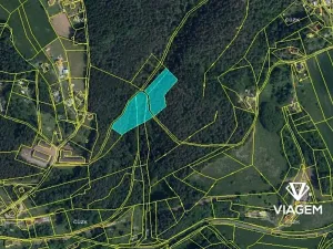 Prodej podílu lesa, Mírová pod Kozákovem, 4616 m2