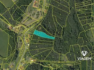 Prodej lesa, Letovice, 2436 m2