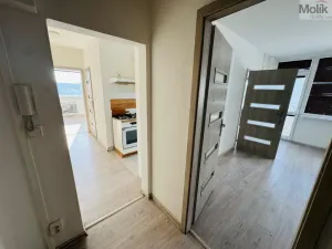 Pronájem bytu 3+1, Most, M. G. Dobnera, 62 m2