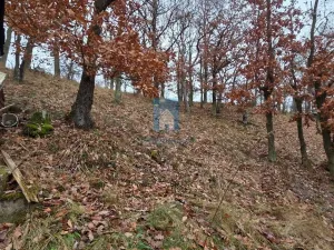 Prodej chaty, Újezd nade Mží, 25 m2