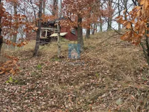 Prodej chaty, Újezd nade Mží, 25 m2