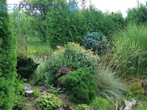 Prodej chaty, Chotěboř - Dobkov, 16 m2