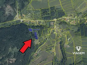 Prodej lesa, Mikulůvka, 3813 m2