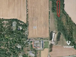 Prodej podílu lesa, Stěbořice, 1852 m2