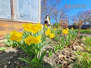 Prodej zahrady, Jirkov, Ke Koupališti, 794 m2