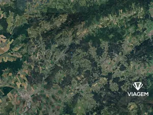 Prodej podílu lesa, Luhačovice, 8215 m2