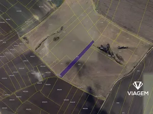 Prodej podílu pole, Vysoká, 1978 m2