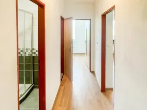 Pronájem bytu 1+1, Nová Cerekev, 35 m2