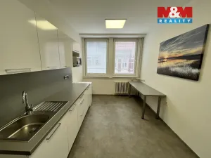 Pronájem kanceláře, Ostrava - Moravská Ostrava, Kounicova, 17 m2