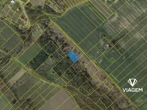 Prodej podílu louky, Semtěš, 698 m2