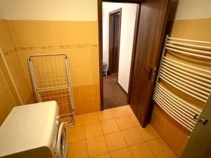 Pronájem bytu 1+kk, Olomouc, Balcárkova, 30 m2