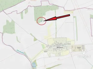 Prodej lesa, Malinová, 233 m2