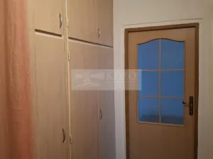 Pronájem bytu 1+1, Olomouc, Jungmannova, 38 m2