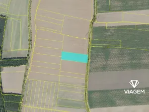 Prodej pole, Kostelec nad Černými lesy, 10245 m2