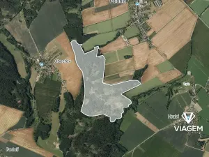 Prodej podílu lesa, Palonín, 94377 m2